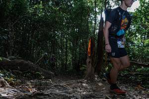 BIB: 
                            <button type="button" onclick="openModal(25800066)" class="btn btn-primary btn-sm float-right btn-popup" data-toggle="modal" data-target=".modal-high-quality">
                        <i class="fas fa-shopping-cart"></i> Add to Cart
                    </button>
                                            <button type="button" onclick="isThisMe(25800066, true)" class="btn btn-success btn-sm float-right btn-popup btn-isme hidden" data-toggle="tooltip" data-placement="bottom" title="นี่คือรูปของคุณใช่ไหม คลิกที่นี่เพื่อเอาเข้าอัลบั้ม">
                        <i class="fas fa-plus"></i> Add to album
                    </button>
                    <button type="button" onclick="isThisMe(25800066, false)" class="btn btn-warning btn-sm float-right btn-popup btn-isnotme hidden">
                        <i class="fas fa-ban"></i> Remove from album
                    </button>